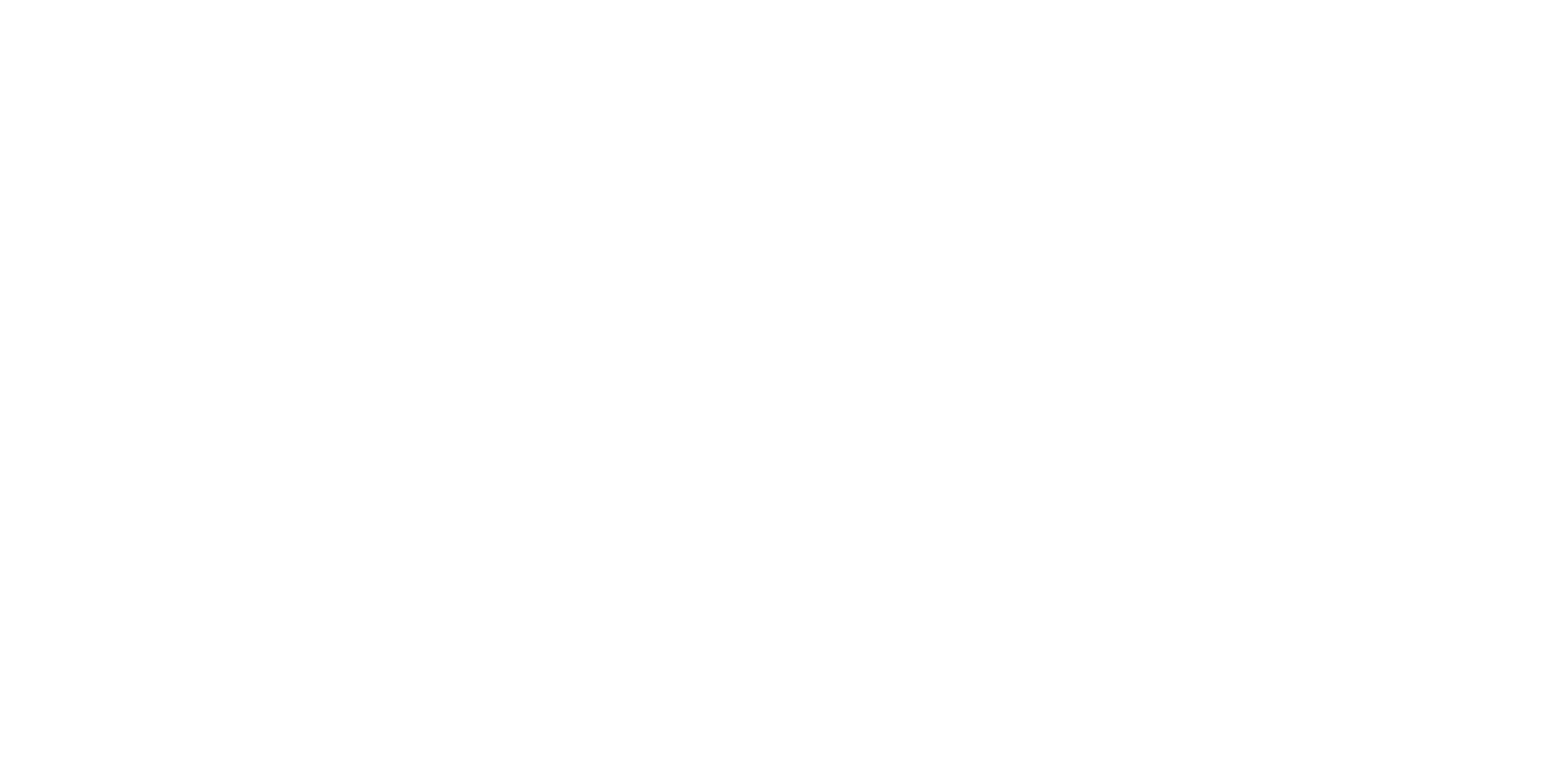 LOGO SHADDOWS BLANC